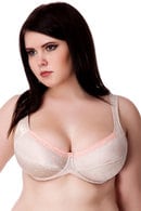 Bra with compacted cup