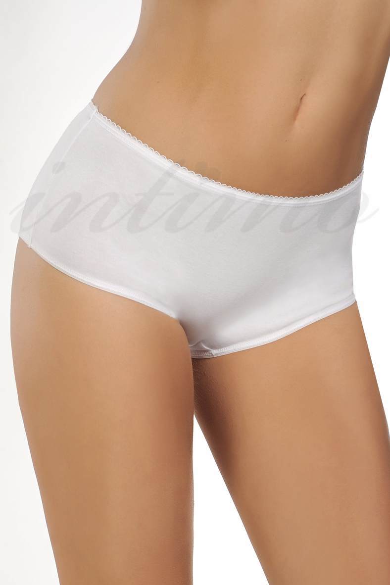 Panties-shorts, code 65870, art 2219