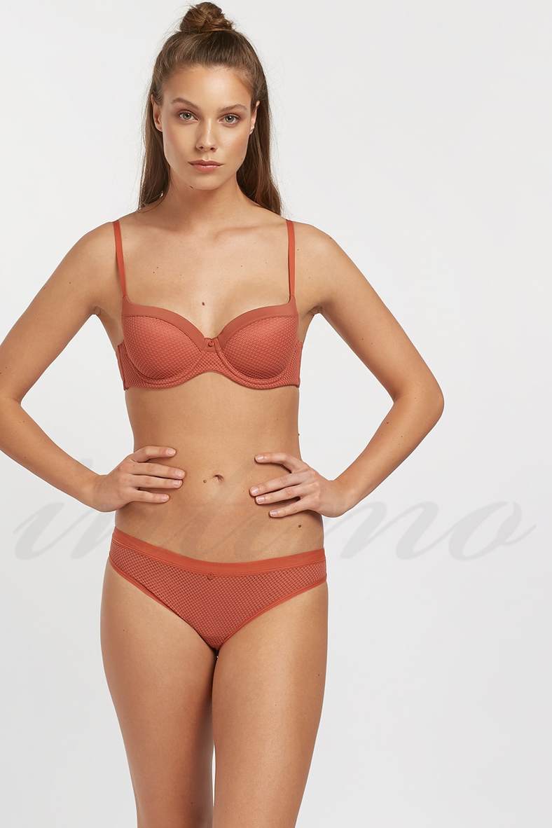 Underwear: bra with a compacted cup and slip panties, code 67229, art 341col