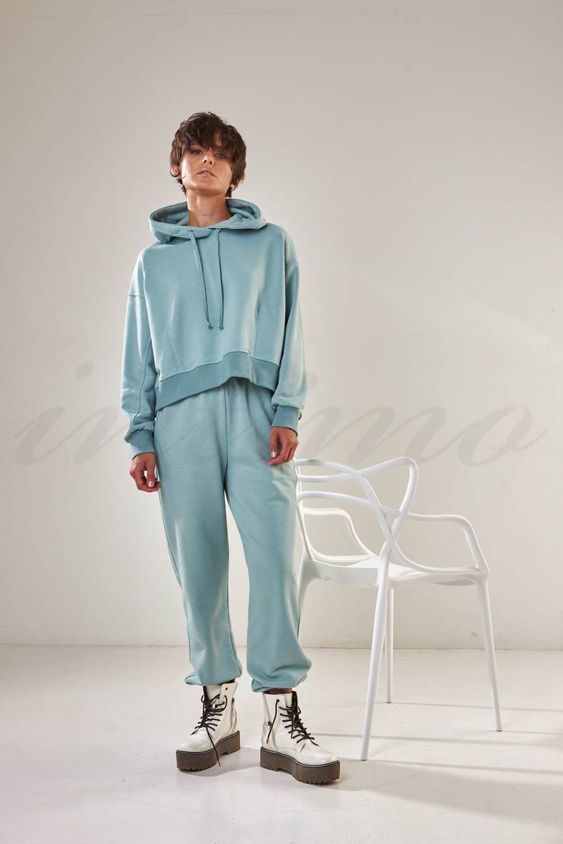 Set: hoodie and trousers, code 79437, art STI-9533-Расмия