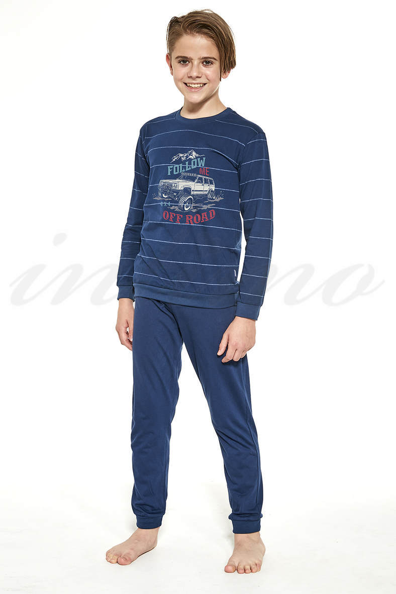 Set: jumper and trousers, code 77183, art 268-21